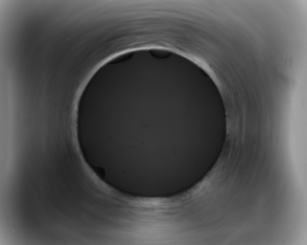X0000088061532200706081639