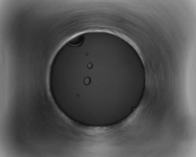 X0000088061533200706081639