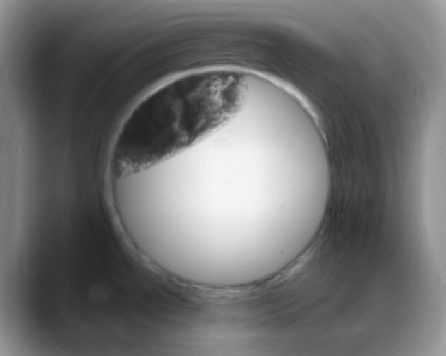 X0000088061534200706081639