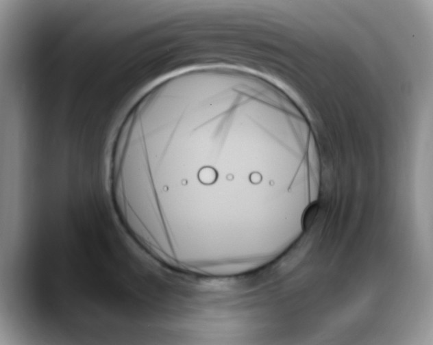 X0000088061535200706081639