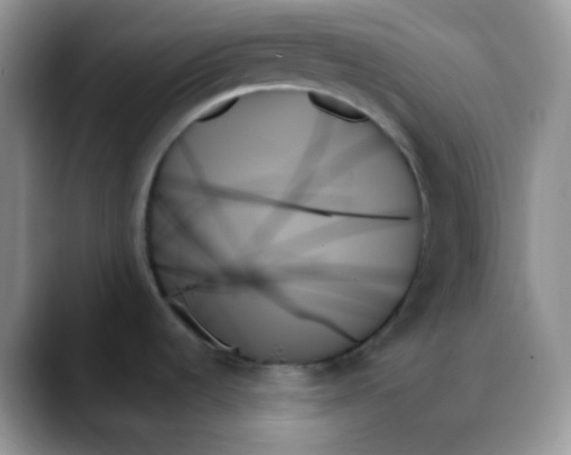 X0000088061536200706081639