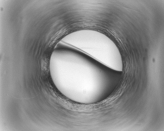 X0000088070044200705110948
