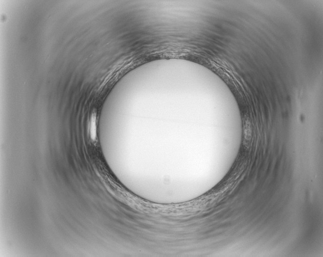X0000088070046200705110948