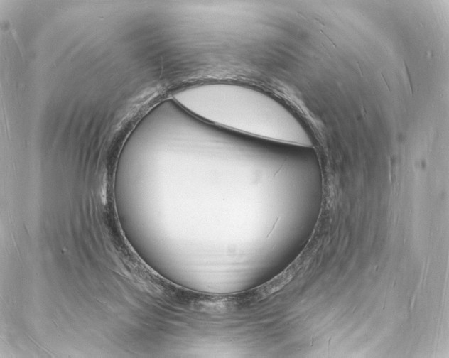 X0000088070068200705110948
