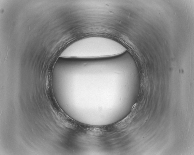 X0000088070074200705110948