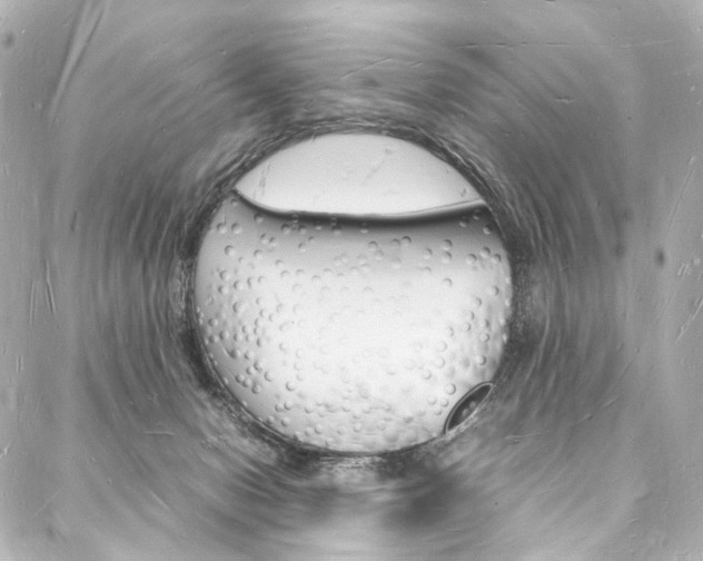 X0000088070078200705110948