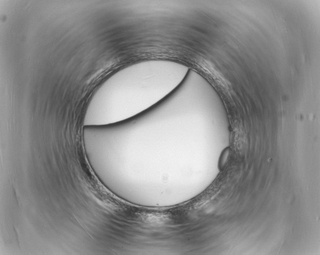 X0000088070165200705110946