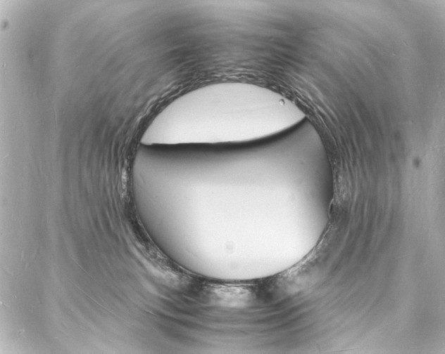 X0000088070183200705110946