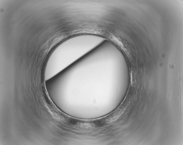 X0000088070205200705110946