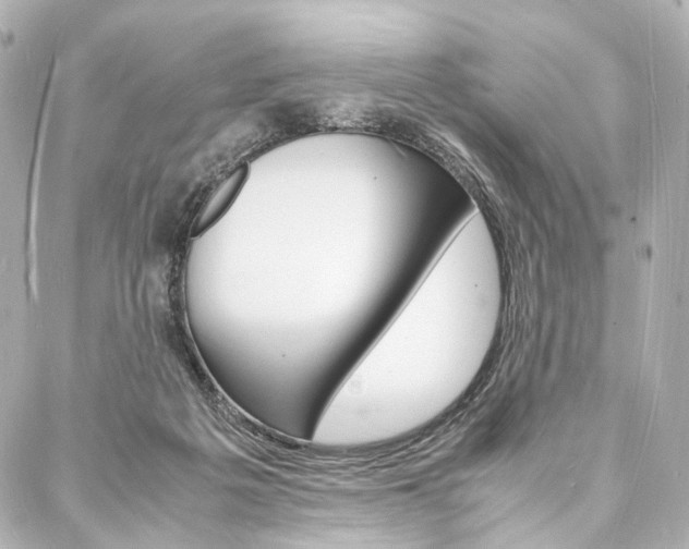 X0000088070217200705110945