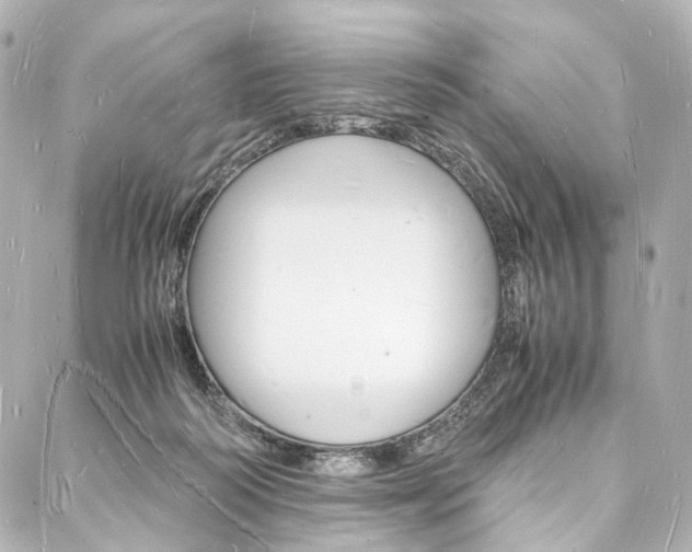 X0000088070218200705110945