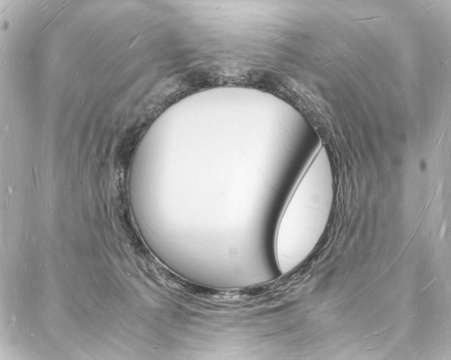 X0000088070225200705110945