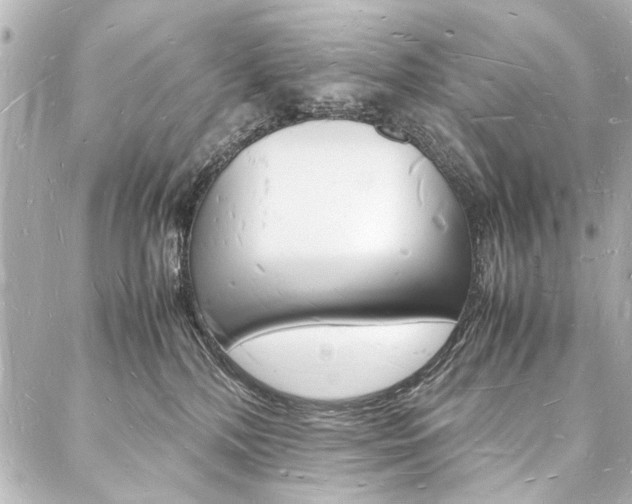 X0000088070232200705110945