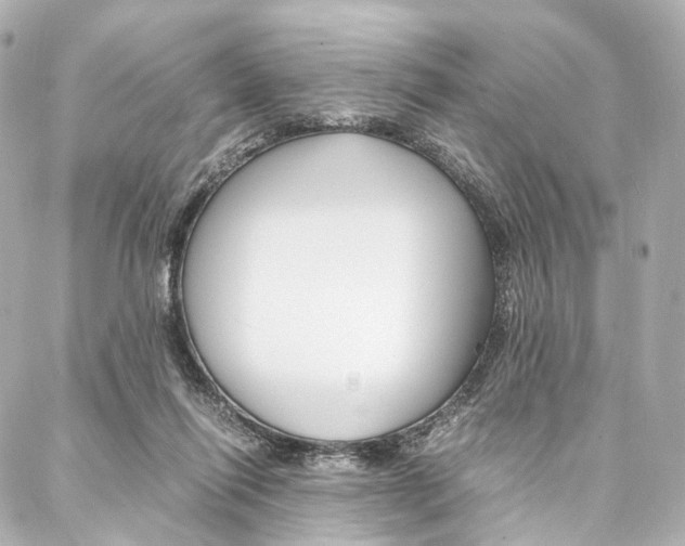 X0000088070262200705110944