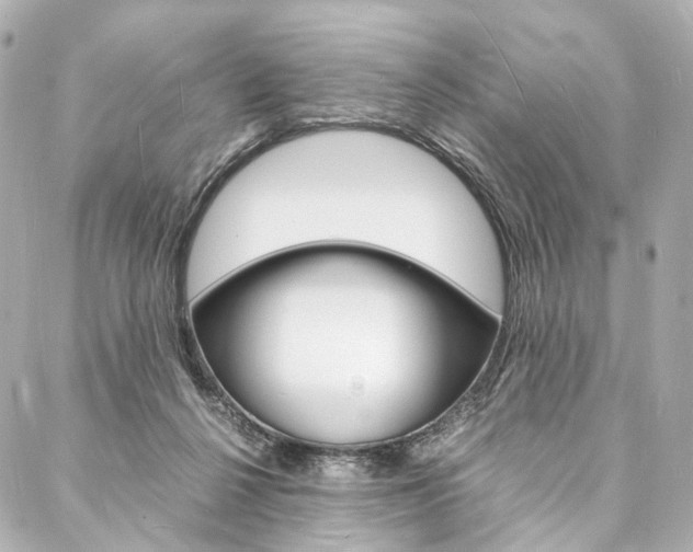 X0000088070264200705110945