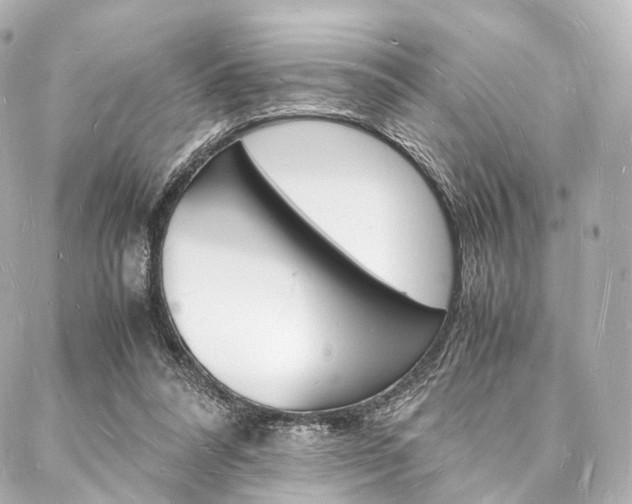 X0000088070304200705110944