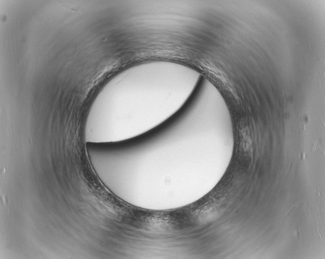 X0000088070308200705110944