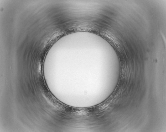 X0000088070310200705110944