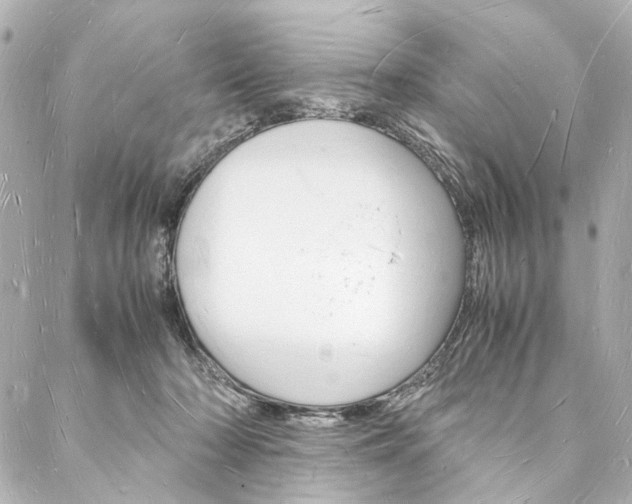 X0000088070318200705110944