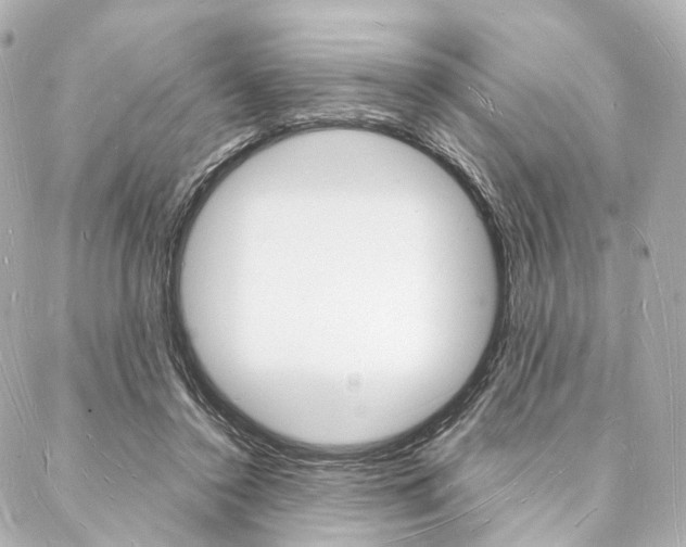 X0000088070356200705110943