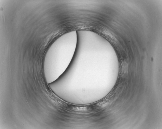 X0000088070361200705110943