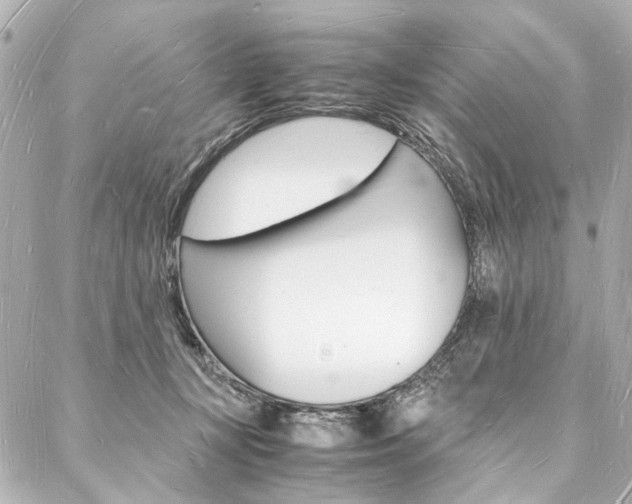 X0000088070367200705110943