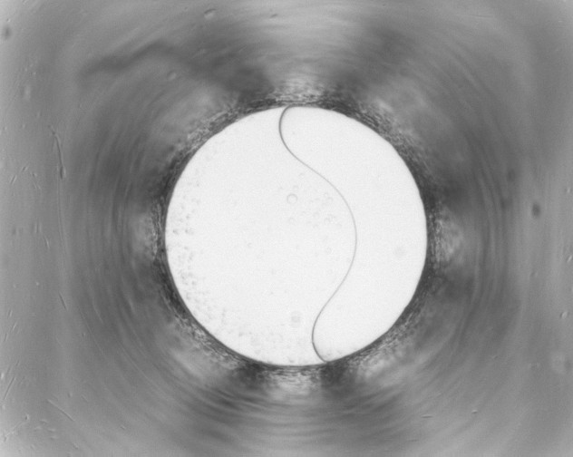X0000088070370200705110943