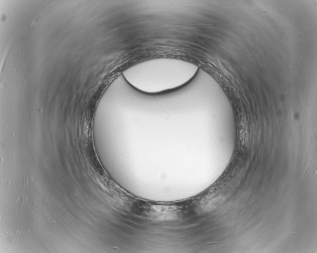 X0000088070371200705110943