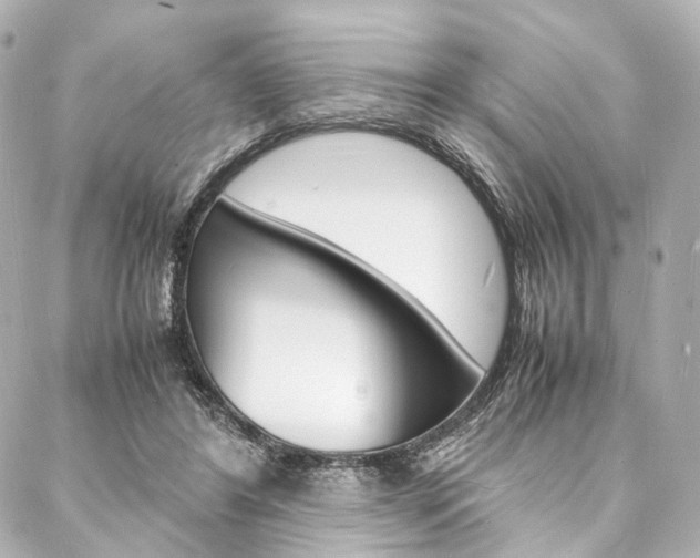 X0000088070404200705110942