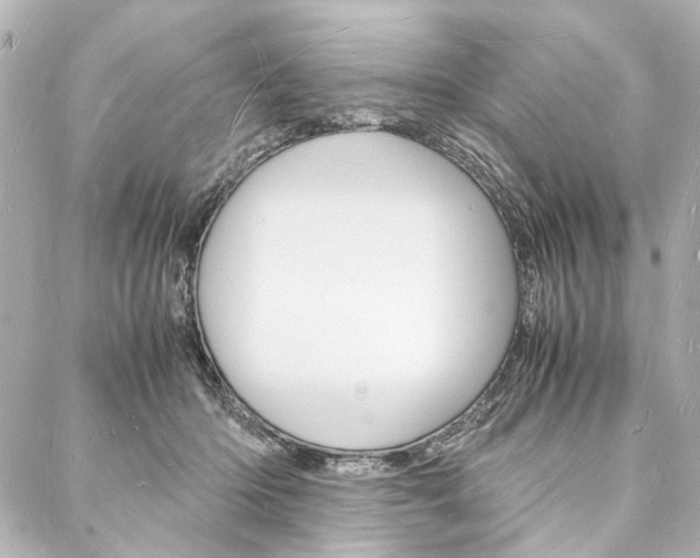X0000088070414200705110942
