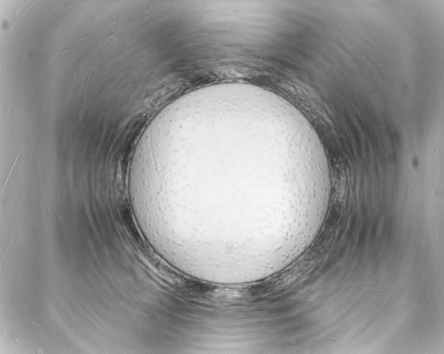 X0000088070418200705110942