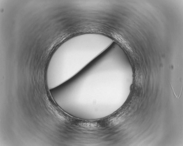 X0000088070449200705110941