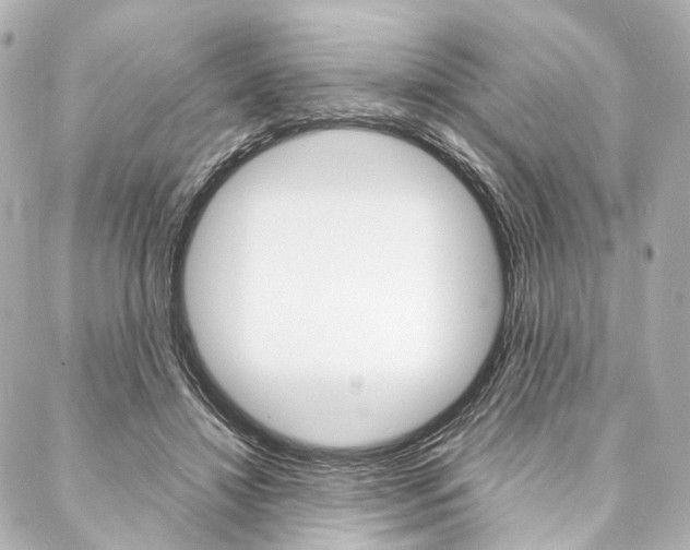 X0000088070452200705110941