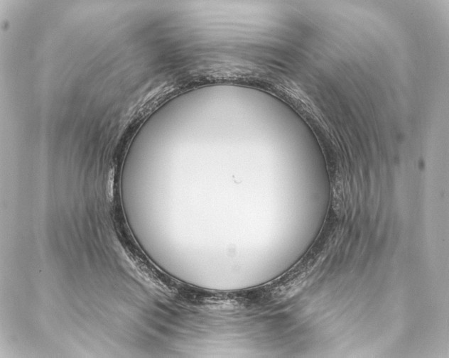 X0000088070454200705110941