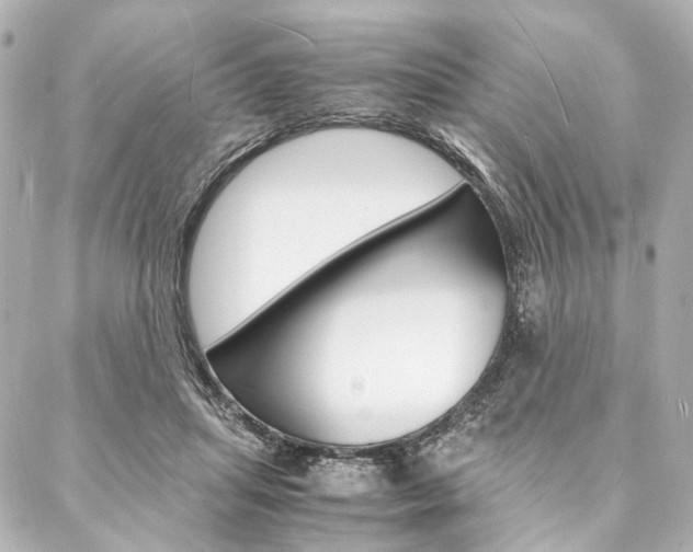 X0000088070455200705110941