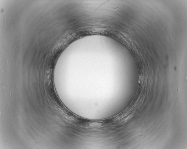 X0000088070462200705110941