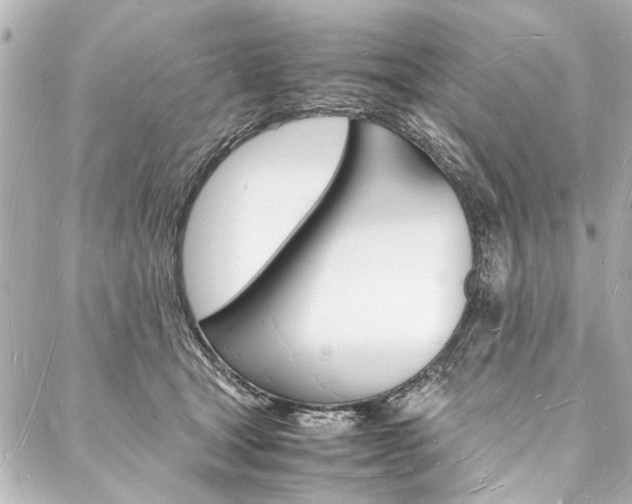 X0000088070465200705110942