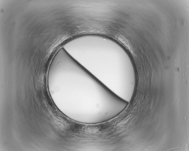 X0000088070491200705110941