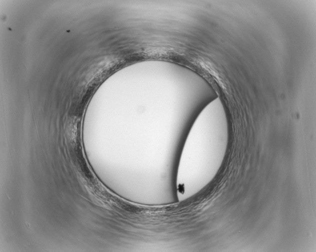X0000088070495200705110941