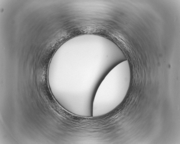 X0000088070499200705110941