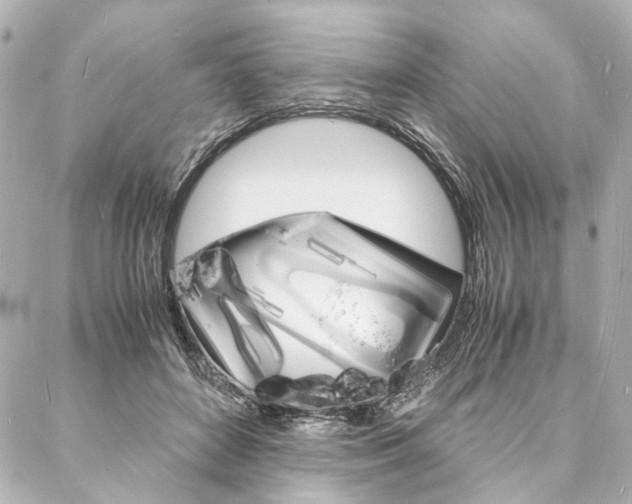 X0000088070504200705110941
