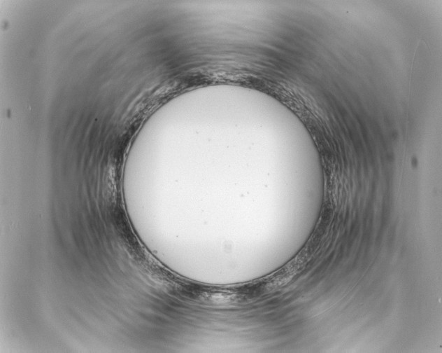 X0000088070506200705110941