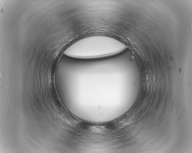 X0000088070508200705110941