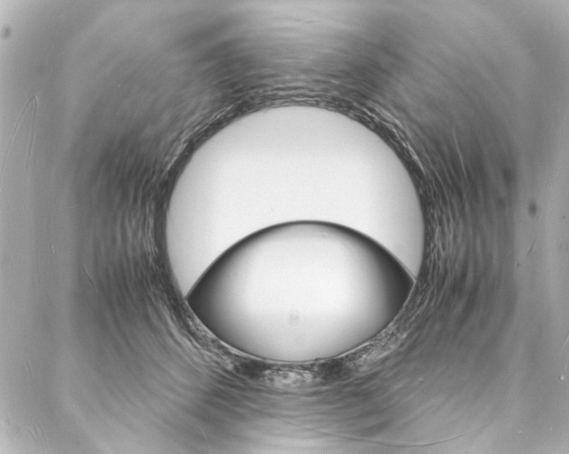 X0000088070512200705110940