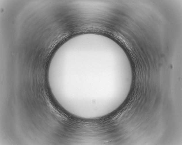 X0000088070546200705110940