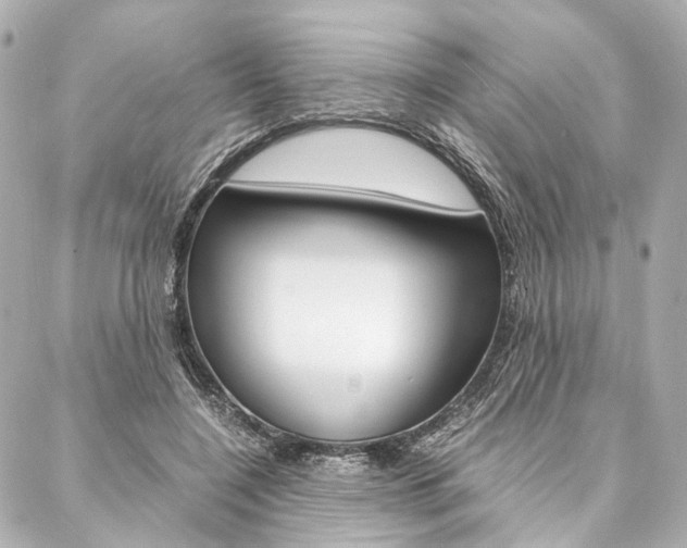 X0000088070548200705110940