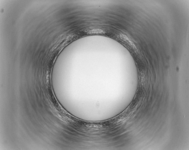 X0000088070549200705110940