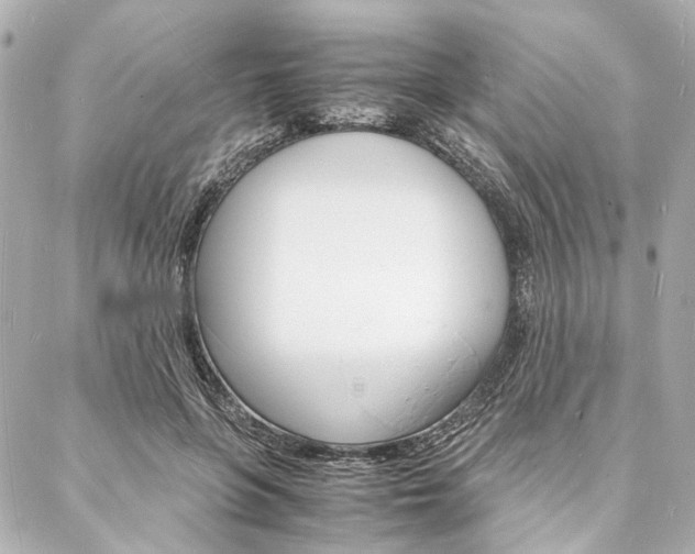 X0000088070551200705110940