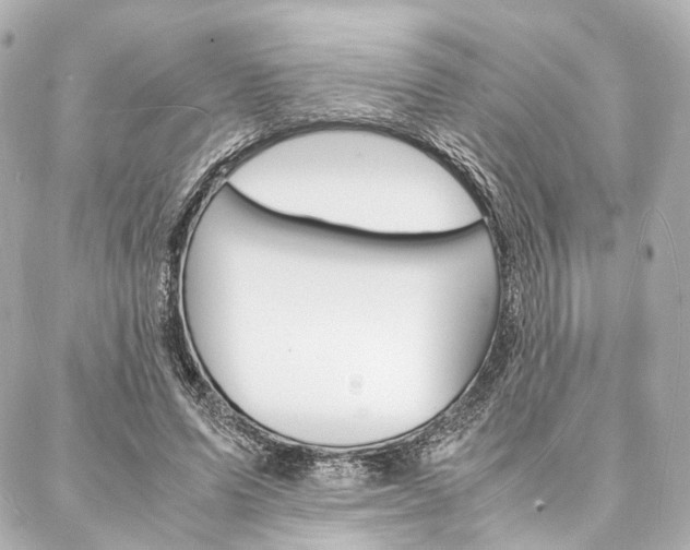 X0000088070591200705110939