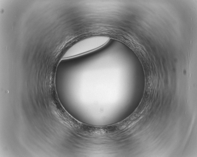 X0000088070600200705110939